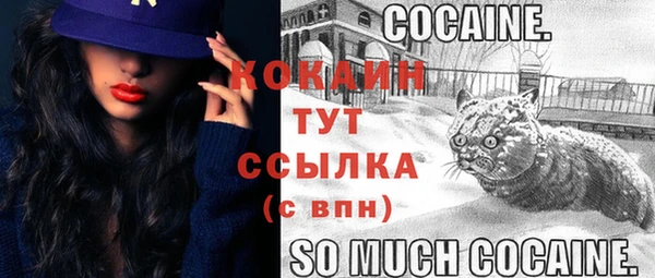 MDMA Premium VHQ Козловка