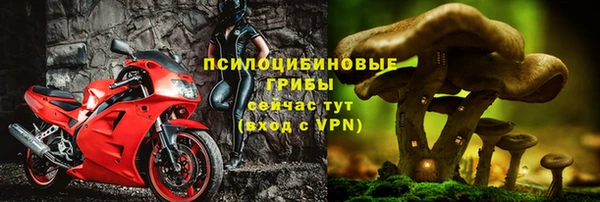 кокс Козельск