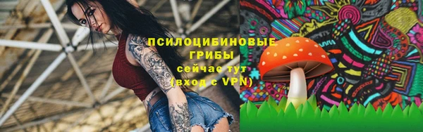 кокс Козельск