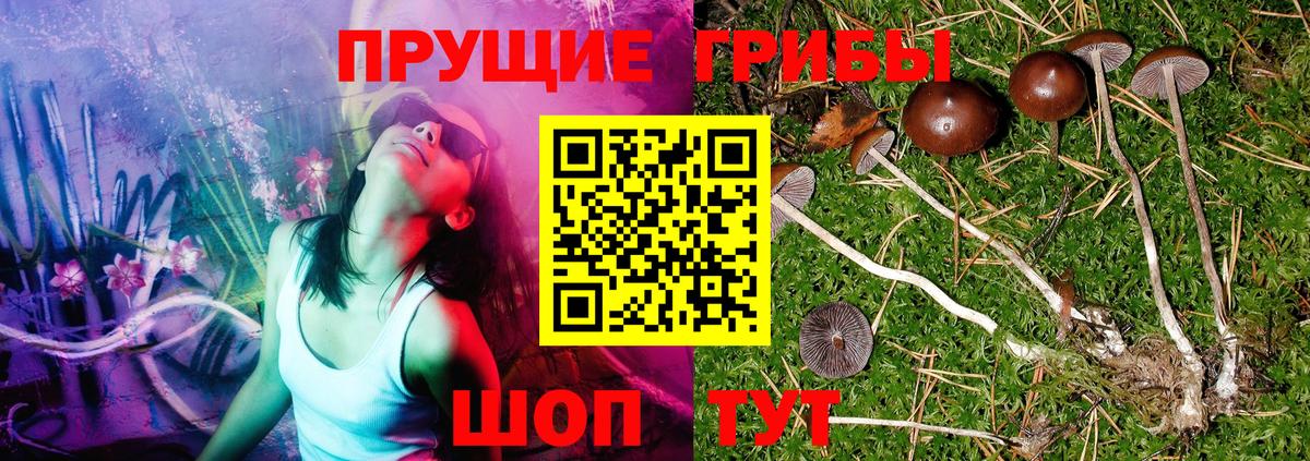 Галлюциногенные грибы Magic Shrooms Кунгур