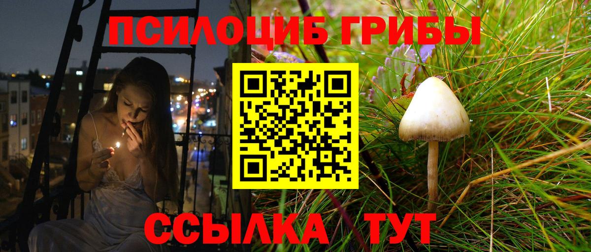 Галлюциногенные грибы MAGIC MUSHROOMS  Вход с VPN  Кунгур  Псилоцибиновые грибы мицелий 