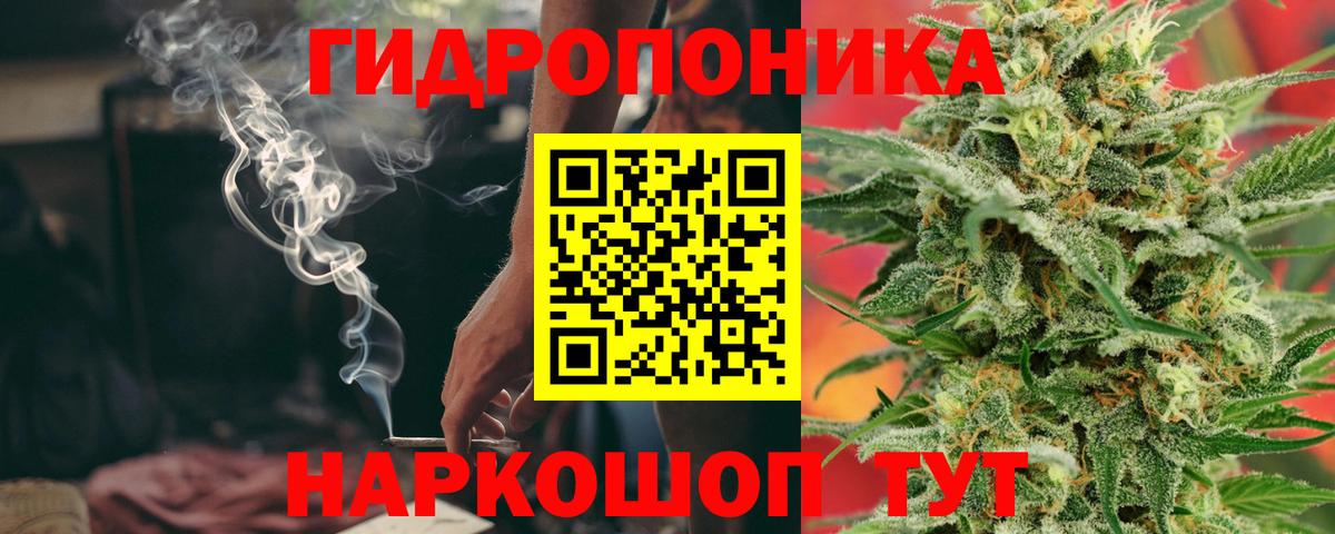 Каннабис план Кунгур
